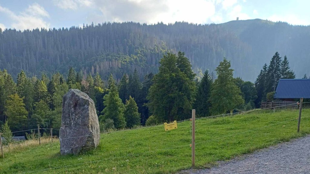 Feldberg